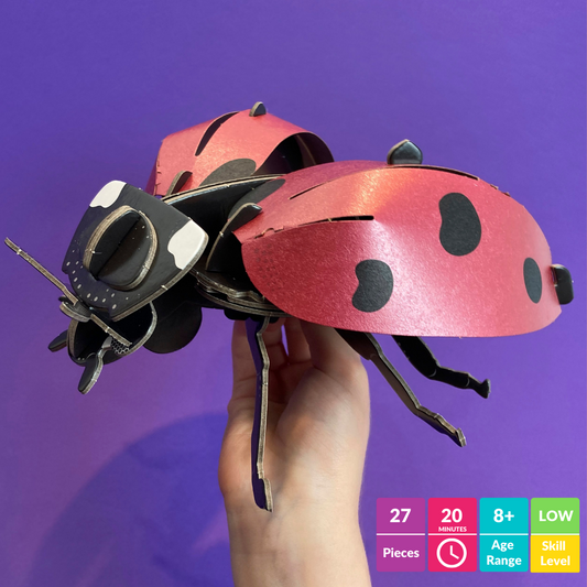 Build Your Own Ladybird