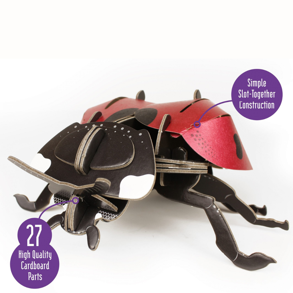 Build Your Own Ladybird