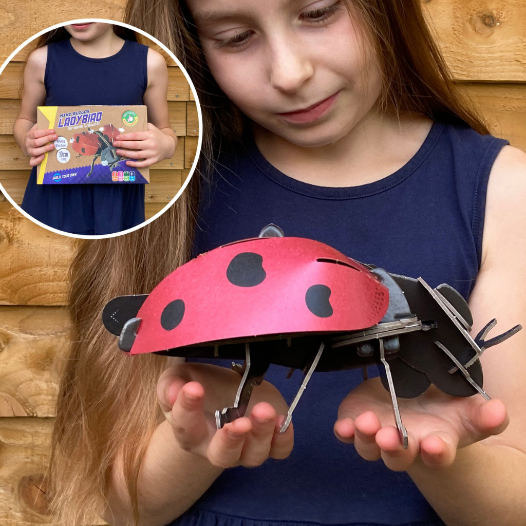 Build Your Own Ladybird